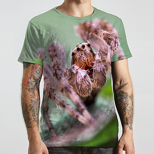 Men's Unisex Tee T shirt 3D Print Graphic Prints Spider Animal Plus Size Print Short Sleeve Casual Tops Fashion Designer Big and Tall Green
Men's Unisex Tee T shirt 3D Print Graphic Prints Spider Animal Plus Size Print Short Sleeve Casual Tops Fashion Designer Big and Tall Green