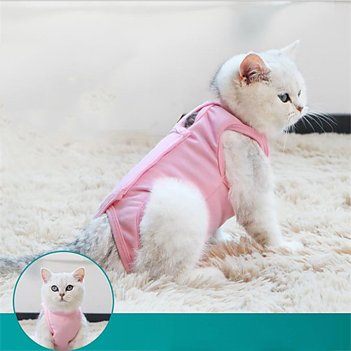 Dog Cat Vest Elegant Adorable Cute Dailywear Casual / Daily Dog Clothes Puppy Clothes Dog Outfits Breathable Yellow Blue Pink Costume for Girl and Boy Dog Polyester S M L 
Dog Cat Vest Elegant Adorable Cute Dailywear Casual / Daily Dog Clothes Puppy Clothes Dog Outfits Breathable Yellow Blue Pink Costume for Girl and Boy Dog Polyester S M L
