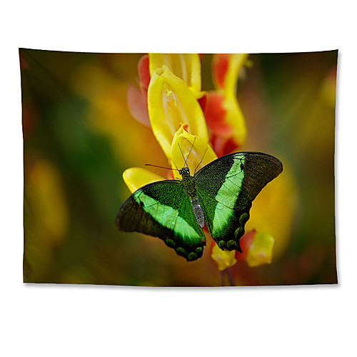 Wall Tapestry Art Decor Blanket Curtain Hanging Home Bedroom Living Room Decoration Polyester Butterfly
Wall Tapestry Art Decor Blanket Curtain Hanging Home Bedroom Living Room Decoration Polyester Butterfly