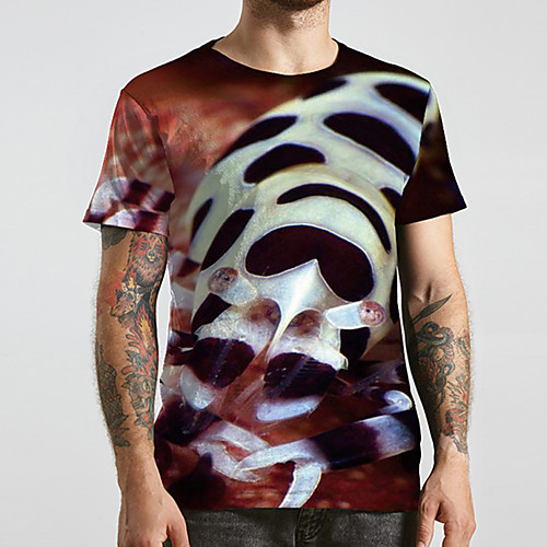 Men's Unisex Tee T shirt 3D Print Graphic Prints Snake Plus Size Print Short Sleeve Casual Tops Basic Designer Big and Tall Brown
Men's Unisex Tee T shirt 3D Print Graphic Prints Snake Plus Size Print Short Sleeve Casual Tops Basic Designer Big and Tall Brown