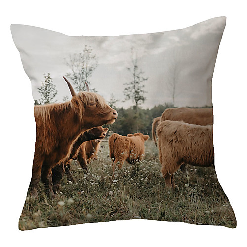 Cow Double Side Cushion Cover 1PC Soft Decorative Square Throw Pillow Cover Cushion Case Pillowcase for Bedroom Livingroom Superior Quality Machine Washable Outdoor Cushion for Sofa Couch Bed Chair Farm Theme
Cow Double Side Cushion Cover 1PC Soft Decorative Square Throw Pillow Cover Cushion Case Pillowcase for Bedroom Livingroom Superior Quality Machine Washable Outdoor Cushion for Sofa Couch Bed Chair Farm Theme
