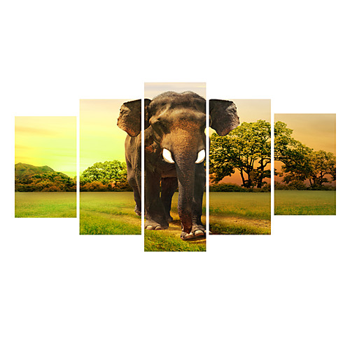 Print Rolled Canvas Prints - Football Sports Comtemporary Five Panels Art Prints
Print Rolled Canvas Prints - Football Sports Comtemporary Five Panels Art Prints
