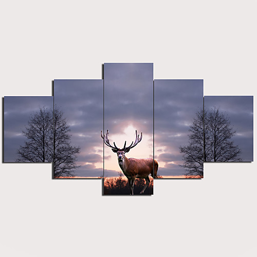5 Panels Wall Art Canvas Prints Painting Artwork Picture Deer Painting Home Decoration Decor Rolled Canvas No Frame Unframed Unstretched
5 Panels Wall Art Canvas Prints Painting Artwork Picture Deer Painting Home Decoration Decor Rolled Canvas No Frame Unframed Unstretched