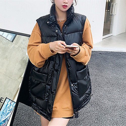 Women's Coat Causal Fall Winter Long Coat Regular Fit Casual Jacket Solid Color Zipper Blue Gray
Women's Coat Causal Fall Winter Long Coat Regular Fit Casual Jacket Solid Color Zipper Blue Gray