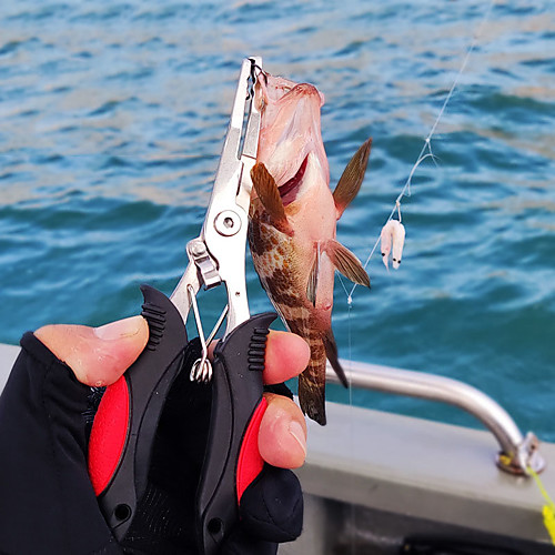 Fishing Pliers Fishing Multi-function Corrosion Resistant Saltwater Resistant Stainless Steel Sea Fishing Freshwater Fishing Lure Fishing
Fishing Pliers Fishing Multi-function Corrosion Resistant Saltwater Resistant Stainless Steel Sea Fishing Freshwater Fishing Lure Fishing