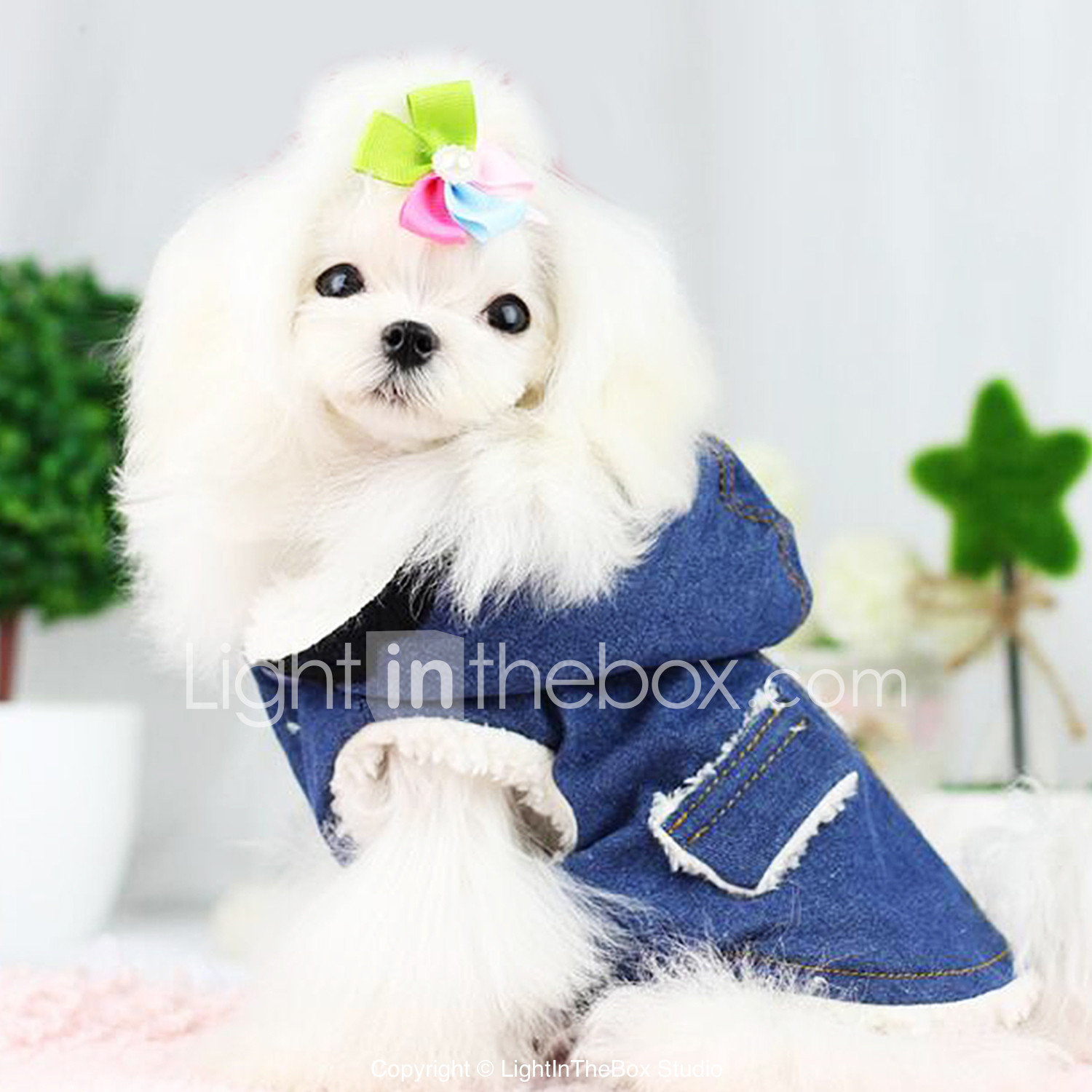 blue jackets dog jersey