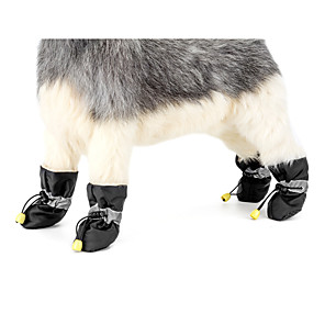 cheap dog shoes