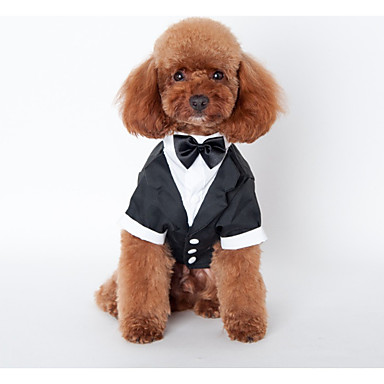 taste of the wild mountain