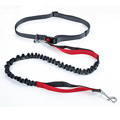 discount dog leashes