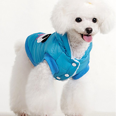 blue jackets dog jersey