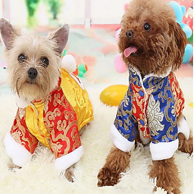 galon avion geniu haine pentru pisici - sullivan-writing.com