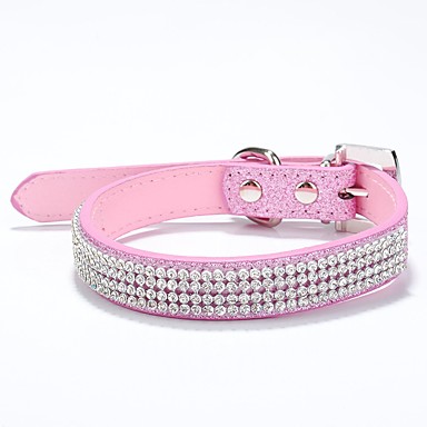 cheap dog collars and leashes