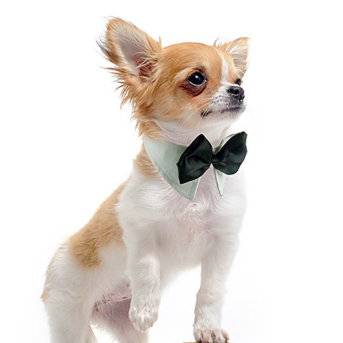 

Dog Tie / Bow Tie Cotton Small Dog White Orange Green / Winter