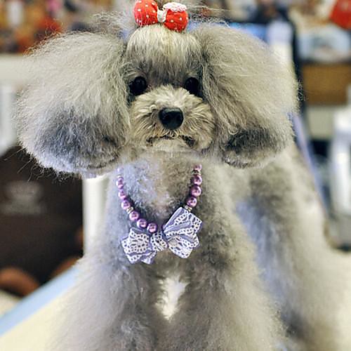 

Dog Necklace Cosplay Dog Clothes Puppy Clothes Dog Outfits Costume for Girl and Boy Dog Mixed Material