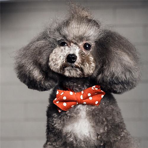 

Dog Tie / Bow Tie Cosplay Dog Clothes Puppy Clothes Dog Outfits Red Blue Orange Costume for Girl and Boy Dog Cotton
