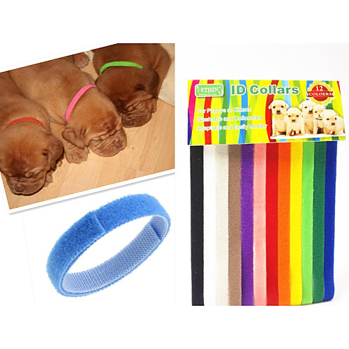 

Cat Dog Collar Adjustable / Retractable Rainbow Nylon Rainbow 1 set