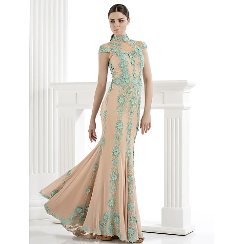 

TS Couture Formal Evening Dress Plus Size / Petite Trumpet / Mermaid High Neck Sweep / Brush Train Tulle with Appliques