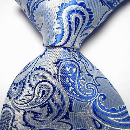 

Men's Work / Basic / Party Necktie - Paisley Print