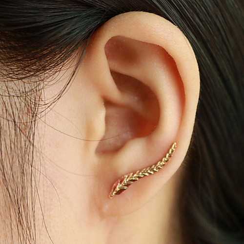 

Women's Stud Earrings Ear Cuff Ear Climbers Leaf Wings Ladies Elegant Fashion Earrings Jewelry Golden / Silver For Casual Daily