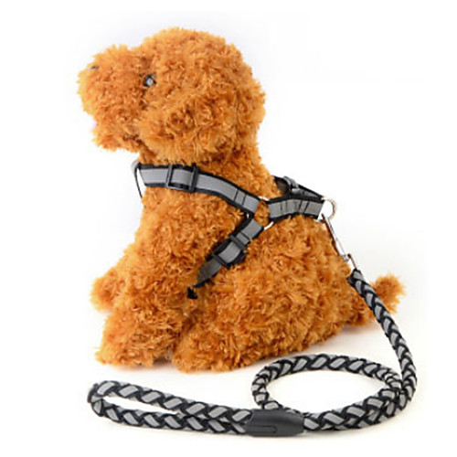 

Dog Leash Casual Solid Colored Nylon Red Blue