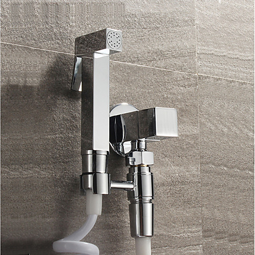 

Contemporary Chrome Self-Cleaning Toilet Handheld bidet Sprayer