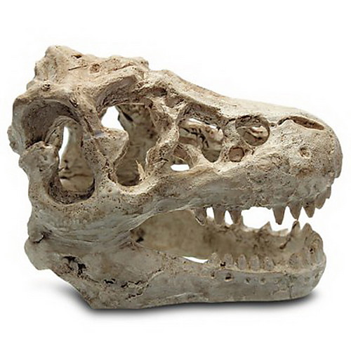 

Fish Tank Decoration Resin Aquarium/Terrarium Decoration Crocodile Skull Resin Orn Dinosaur resin skull reptile and lion lizard