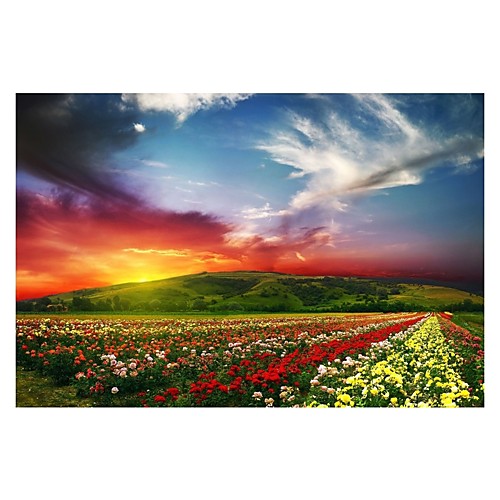

1000 pcs Floral Theme Jigsaw Puzzle Adult Puzzle Jumbo Wooden Nature & Landscapes Adults' Toy Gift