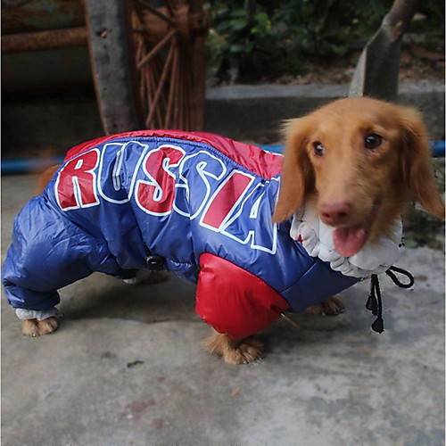 

Cat Dog Coat Hoodie Rain Coat Winter Dog Clothes Waterproof Blue Costume Waterproof Material Polyster Print Letter & Number Casual / Daily Waterproof Keep Warm XS S M L XL XXL