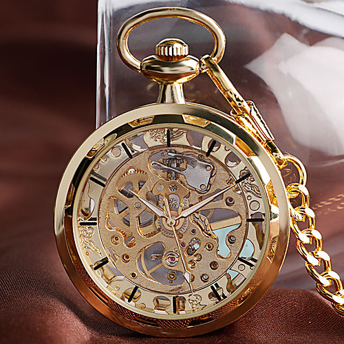 

Men's Pocket Watch Analog Mechanical manual-winding Casual Casual Watch Large Dial