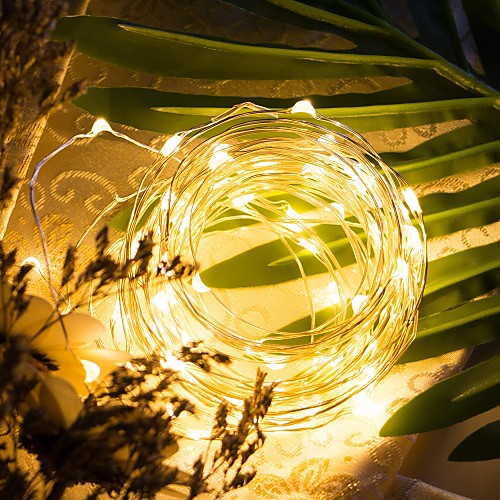 

LED String Lights 5m 50 LEDs Warm White RGB White Party Decorative Wedding Batteries Powered