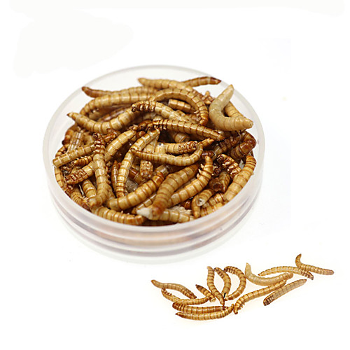 

1 pcs Fishing Bait Worm Sinking Bass Trout Pike Carp Fishing