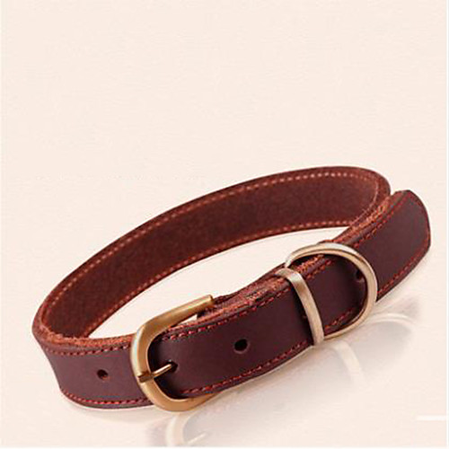 

Dog Collar Genuine Leather Orange