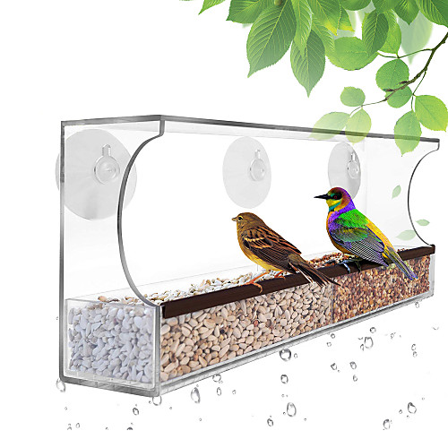 

Perches & Ladders Plastics Pet Friendly All in One hand wash Transparent