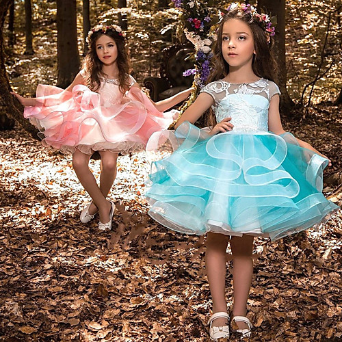 

Princess Dress Flower Girl Dress Girls' Movie Cosplay A-Line Slip Cosplay Vacation Dress Blue Pink Dress Halloween Carnival Masquerade Tulle Polyester