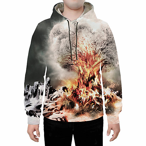 

Men's Plus Size Pullover Hoodie Sweatshirt Abstract 3D Flame Hooded Daily Going out 3D Print 3D Print Casual Hoodies Sweatshirts Gray