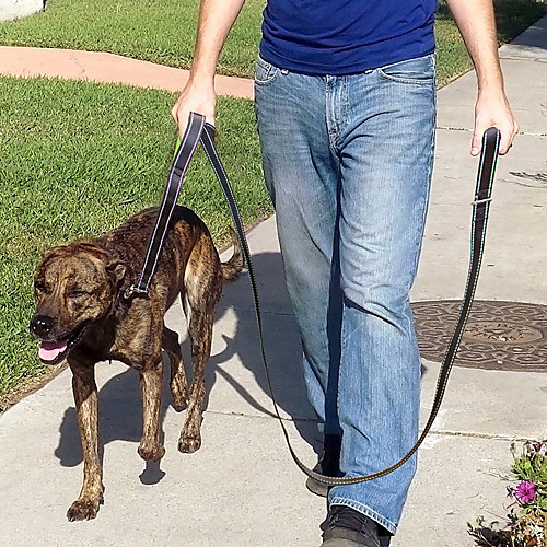 

Double 2 Handles Long Short Dog Nylon Rope Reflective Dog Pet Leash Lead Puppy Medium Large Dogs Safety Protect Dog Pet Supply