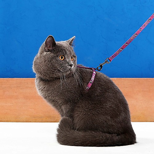 

Cat Harness Leash Adjustable / Retractable Cartoon Nylon Rainbow Purple Red Blue Pink