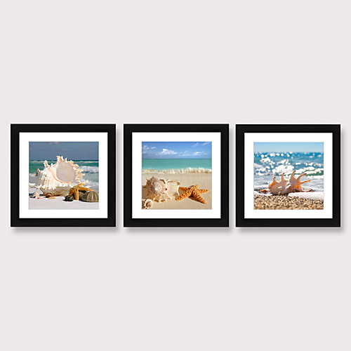 

3 Panel Wall Art Canvas Prints Painting Artwork Picture Sea Conch Shell Home Decoration Décor Stretched Frame Ready to Hang