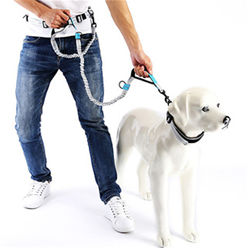 

Dog Cat Pets Leash Hands Free Leash Running Leash Portable Retractable Soft Training Running Adjustable Flexible Durable Running Camouflage Color Block Classic Polyester Husky Alaskan Malamute