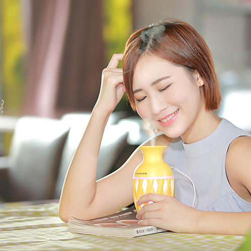 

1Pc Creative Bottle Humidifier/Vehicle Air Purifier Humidifier