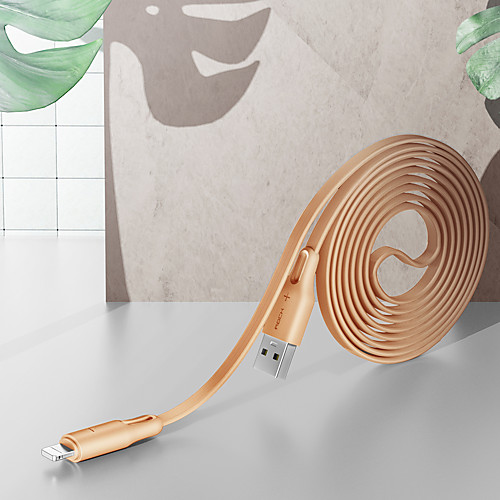 

ROCK 1M Lightning Cable 2 A Flat / Quick Charge TPE USB Cable Adapter