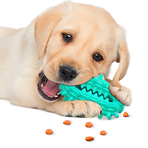 

Chew Toy Pet Molar Bite Toy Dog Play Toy Dog 1pc Ball Teething Rope Toy TPR Gift Pet Toy Pet Play