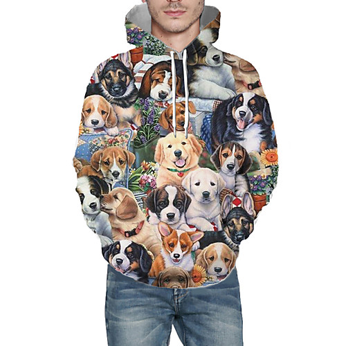 

Men's Pullover Hoodie Sweatshirt Graphic Animal Hooded Daily 3D Print Basic Hoodies Sweatshirts Long Sleeve Rainbow