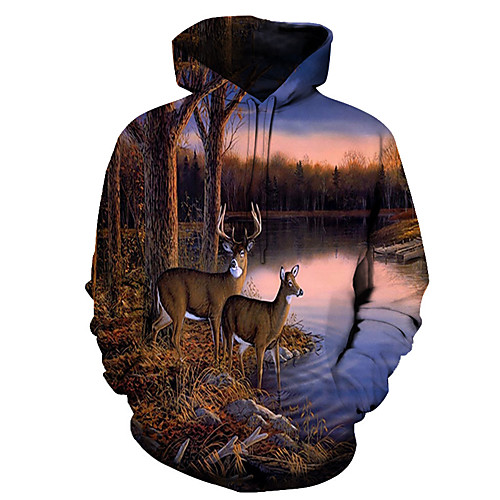 

Men's Pullover Hoodie Sweatshirt Graphic Animal Hooded Daily Going out 3D Print Basic Casual Hoodies Sweatshirts Long Sleeve Rainbow