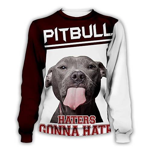 

Men's Pullover Sweatshirt Graphic Round Neck Daily Weekend 3D Print Basic Casual Hoodies Sweatshirts Long Sleeve Rainbow