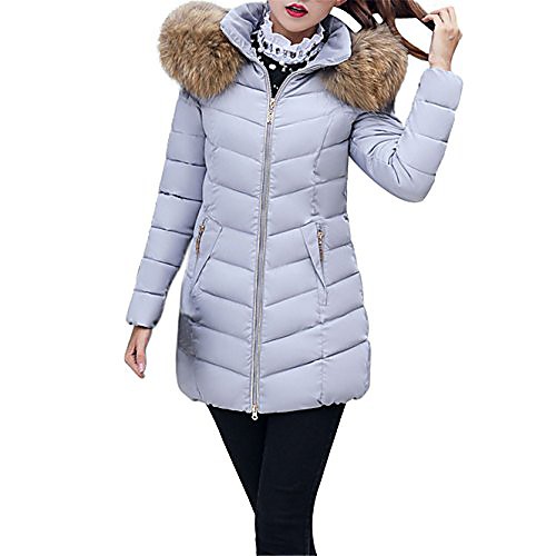 

Women's Down Daily Wear Winter Coat Hooded Jacket Solid Color Silver Gray Wine Red