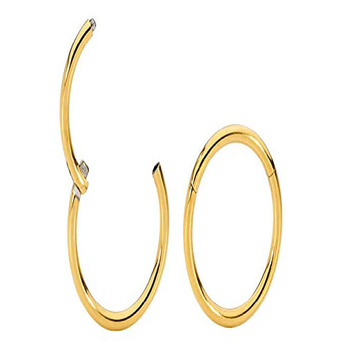 

g23 titanium 3/8 (10mm) 18g hinged hoop segment rings sleeper earrings (yellow)