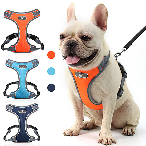 

Dog Cat Harness Vest Adjustable Flexible Breathable Durable Outdoor Walking Color Block Oxford Cloth Corgi Pug Bichon Frise Schnauzer Poodle Chihuahua Orange Dark Blue Light Blue 1pc