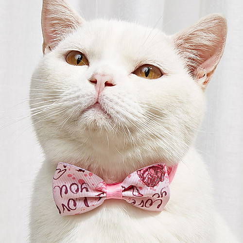 

Dog Cat Collar Ornaments Tie / Bow Tie Bowknot Embroidered Cute Sweet Wedding Party Valentine's Day Dog Clothes Puppy Clothes Dog Outfits Adjustable Pink Costume for Girl and Boy Dog Polyester