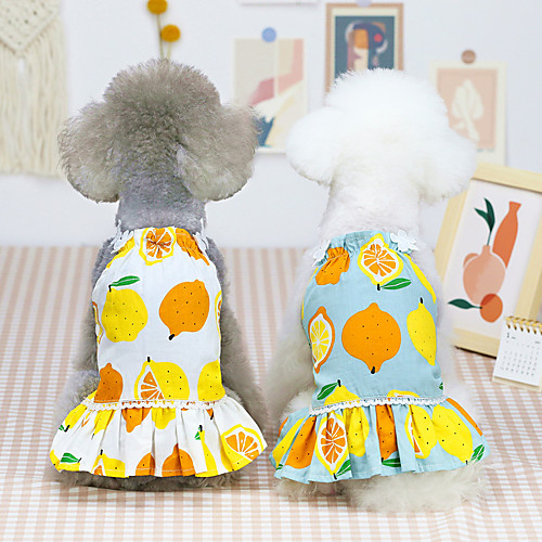 

Dog Cat Dress Vest Fruit Basic Adorable Cute Dailywear Casual / Daily Dog Clothes Puppy Clothes Dog Outfits Breathable 21 Lemon Skirt-White 21 Lemon Skirt-Blue Gray Costume for Girl and Boy Dog Cotton